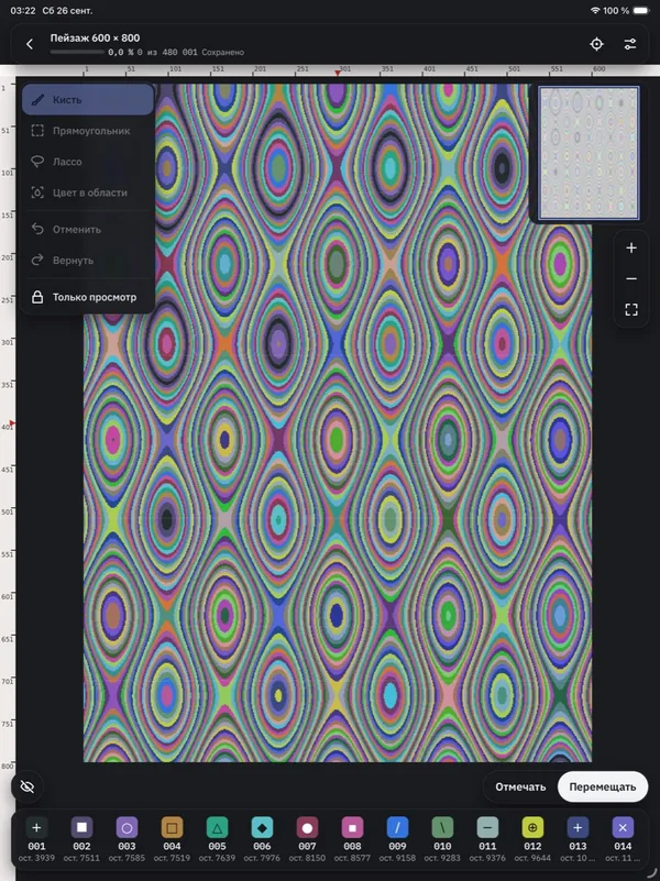 Экран схемы на iPad: тестовая схема 600 × 800 целиком, панель инструментов с подписями, миникарта и лента ниток